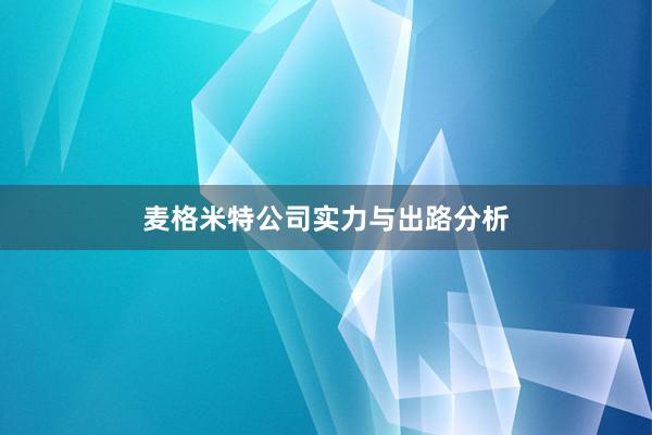 麦格米特公司实力与出路分析